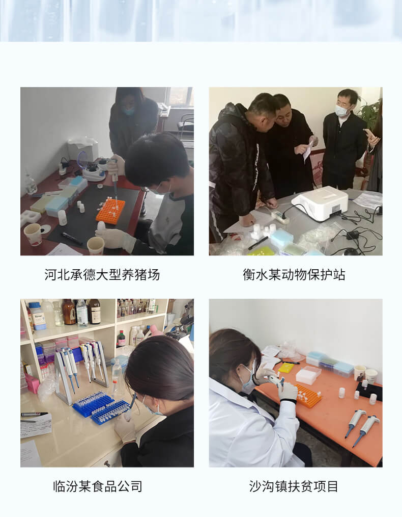熒光定量PCR檢測儀