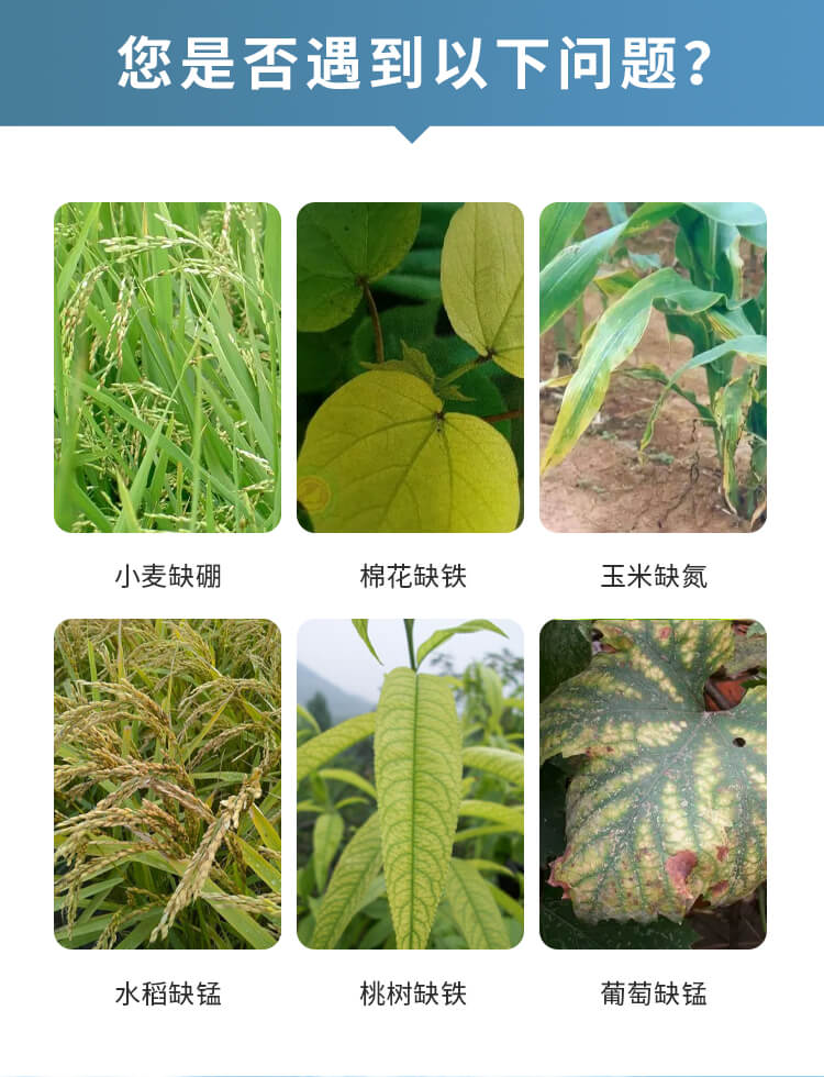 土壤檢測(cè)儀