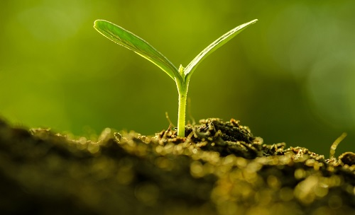 為避免誤導(dǎo)用戶，便攜式土壤水分速測儀使用需注意