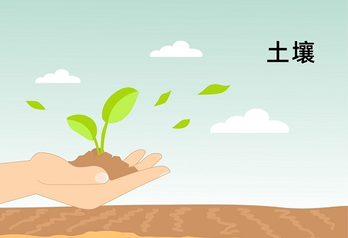 土壤墑情監(jiān)測(cè)系統(tǒng)在精細(xì)農(nóng)業(yè)發(fā)展中扮演著什么角色？
