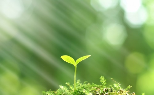 推廣測土配方施肥技術(shù)的有哪些好處？
