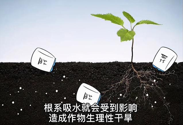 土壤EC值和pH值與作物生長的關(guān)系，利用土壤鹽分儀緩解土壤鹽漬化