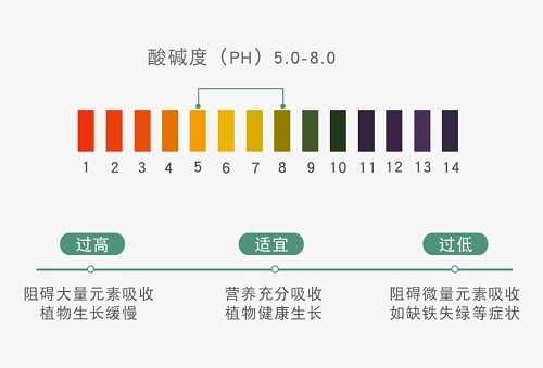 越來越嚴(yán)重的土壤酸化需要應(yīng)用土壤原位pH儀科學(xué)應(yīng)對(duì)