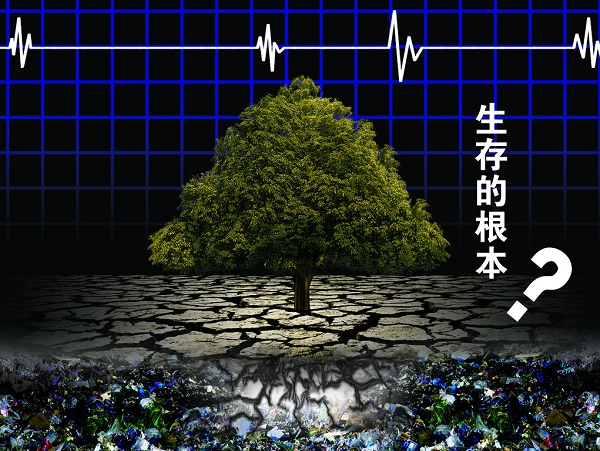 土壤重金屬嚴重超標，土壤修復離不開土壤檢測儀
